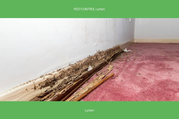 PEST CONTROL Lyman